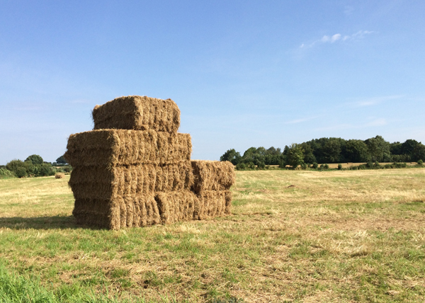 abholbereit gelagert