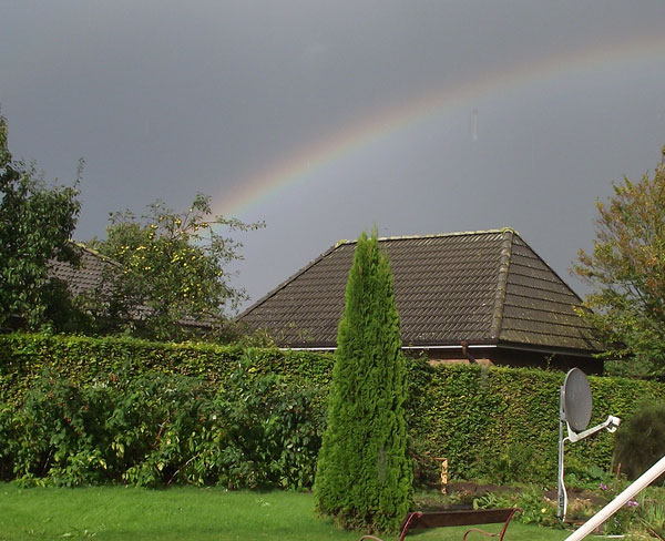 Apfelbaum-Regenbogen