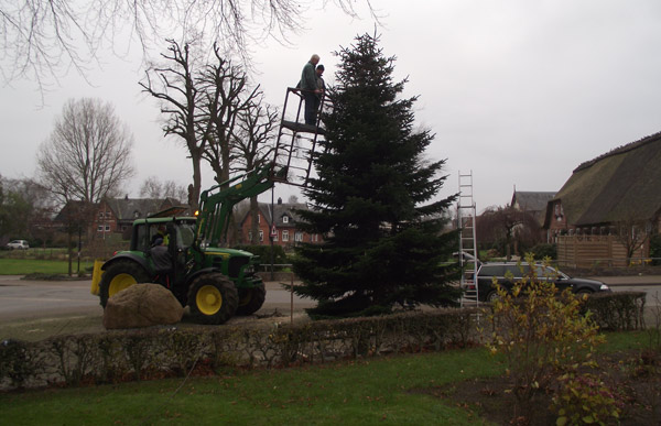 Baumaufstellen in Ringsberg