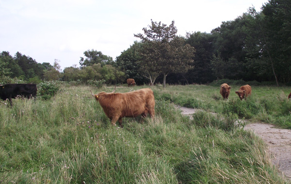 freundlich und friedlich?