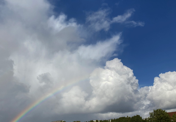 Regenbogen