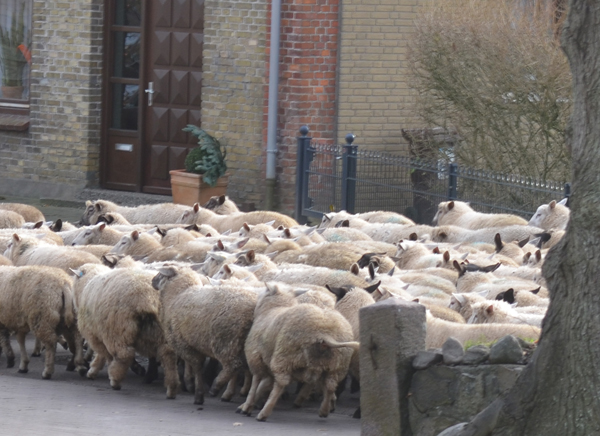 Drängeln am Bahnhof