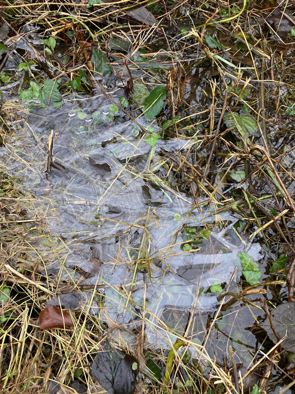 Eiskunst