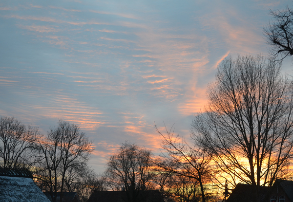 Farbenspiel Januar 2017