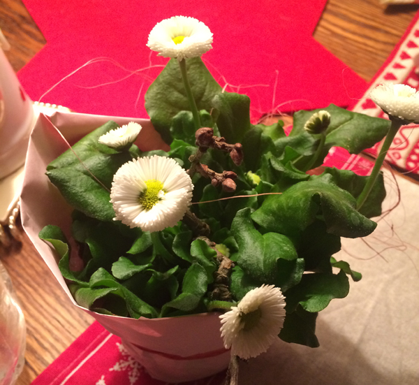 Namensblume