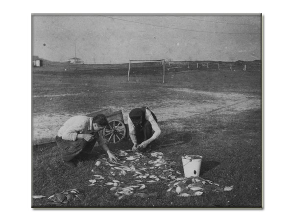 sortieren und aufteilen