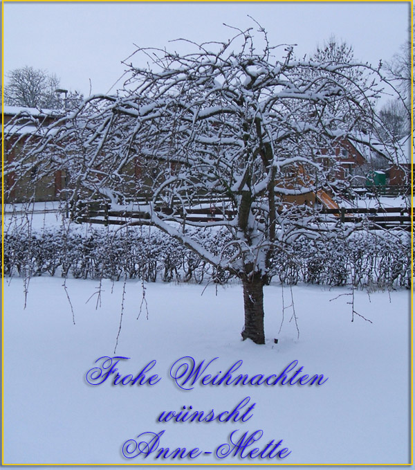 Frohe Weihnachten