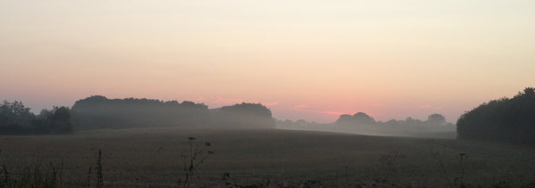 Fr&uuml;hnebel im August