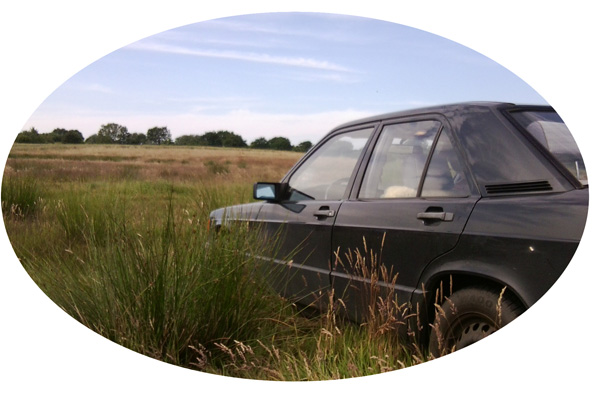 Gl&uuml;cksburg Parkplatz am FKK-Strand