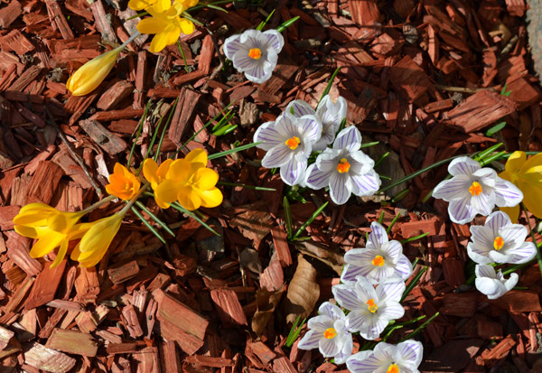 Hauch von Fr&uuml;hling