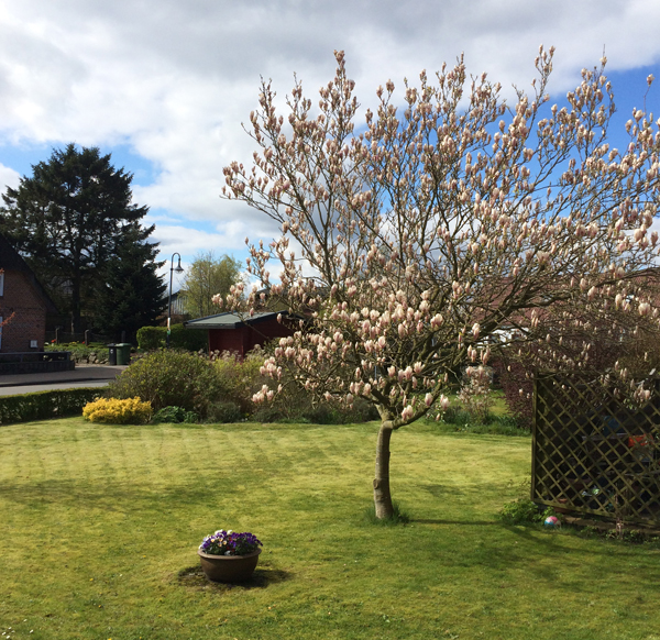 ein Hauch von Frühling