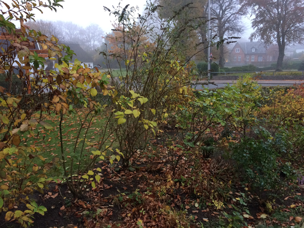 der Garten im Herbst