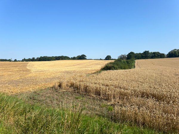 Landpartie mit Fahrrad