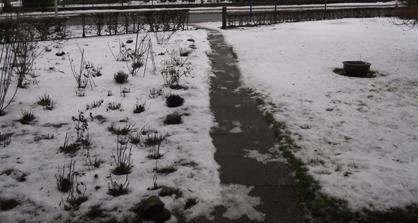 Januar Rain