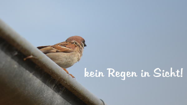 kein Regen in Sicht