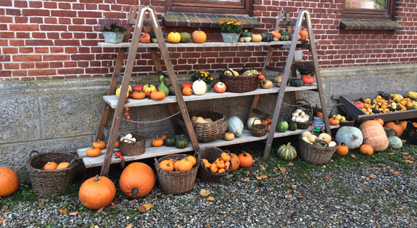 K&uuml;rbisse im Hofladen