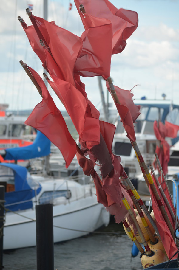 Flaggen im heftigen Wind
