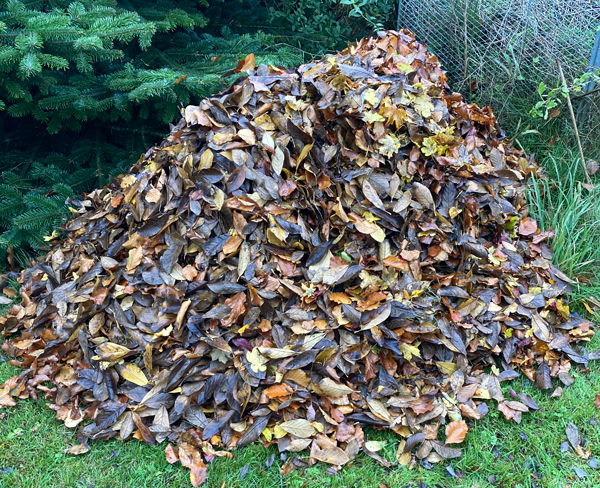 Laubhaufen