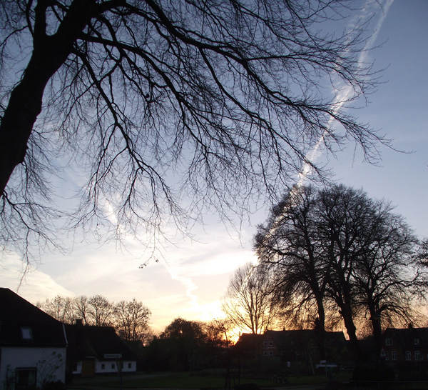 Schatten und Licht im November 2012
