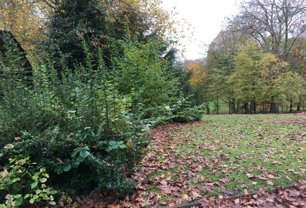 Park