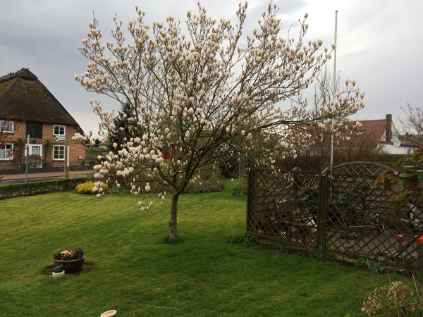 Rasenm&auml;hen Ende April