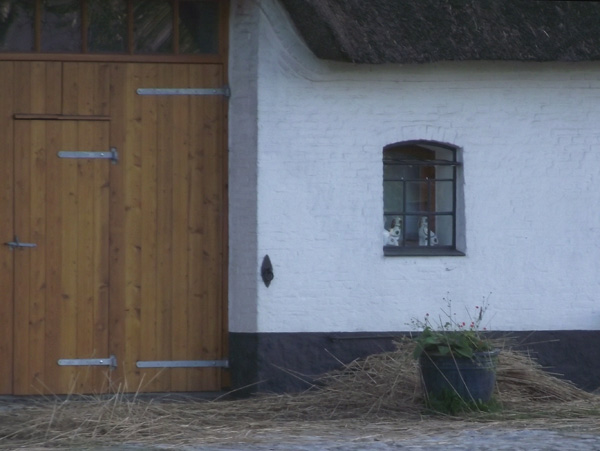 Nach der Reetdach-Reparatur