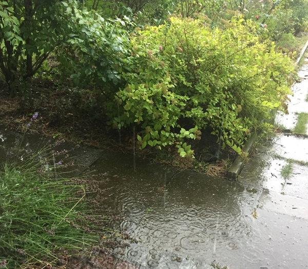 Regen am letzten Julitag