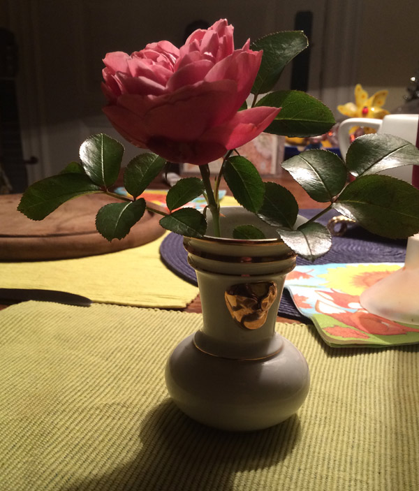 Rose in Vase