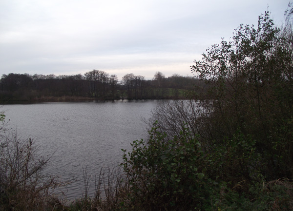 R&uuml;der See im November 2012