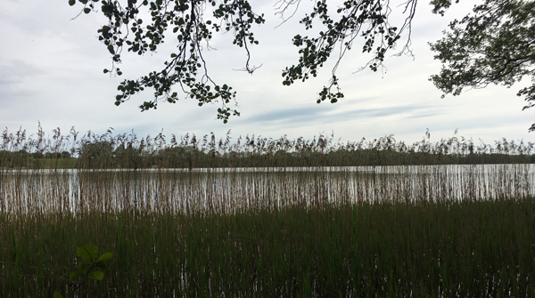 Sankelmarker See