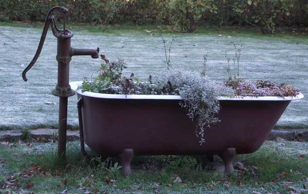 Stilleben im Oktober 2012