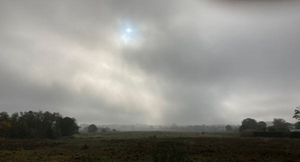 Schausende im Herbst