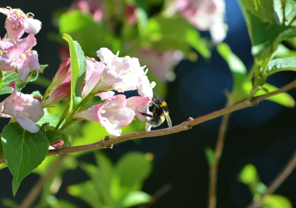 wenn andere arbeiten