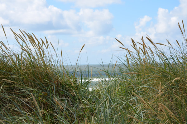 Wenningstedt Strandblick