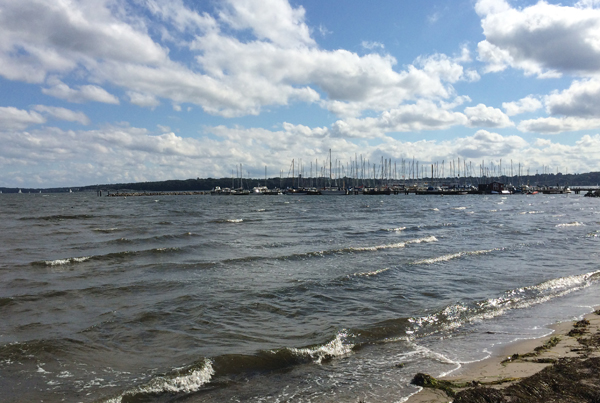 Westseite Flesnburger Förde